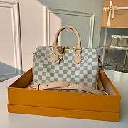 LV Speedy Bandouliere Small Bag 25cm - 1