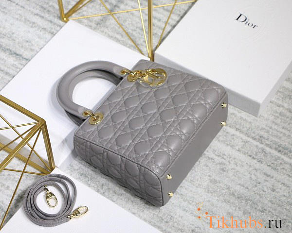 	modishbags Dior Leather Gray Handbag With Gold Hardware - 1