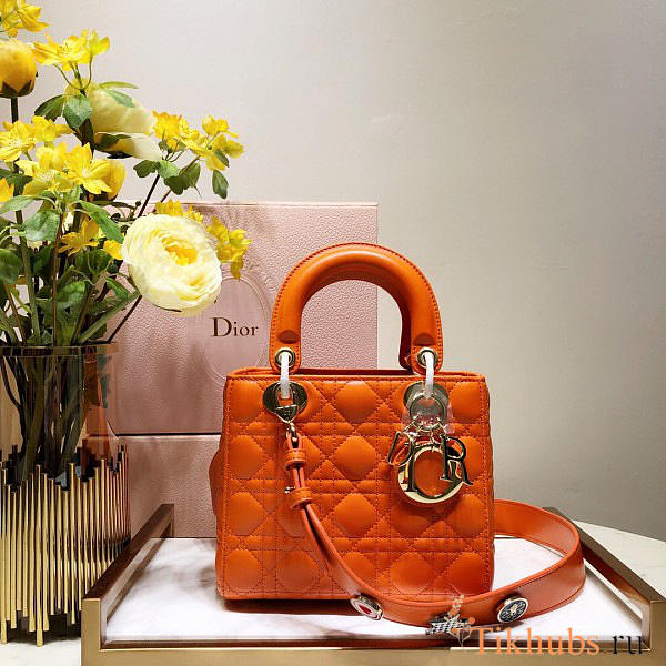 Modishbags Dior Leather Orange Handbag - 1