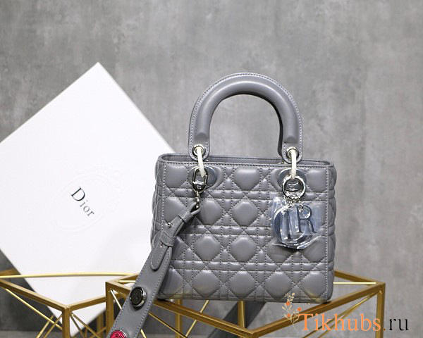 Modishbags Dior Leather Lambskin Grey Handbag With Sliver Hardware - 1