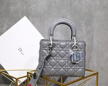 Modishbags Dior Leather Lambskin Grey Handbag With Sliver Hardware