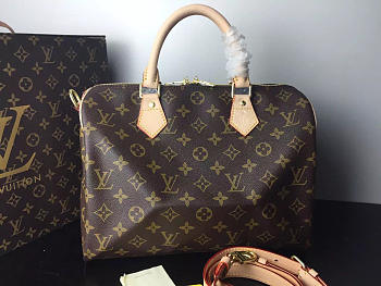 Louis Vuitton Damier Azur Speedy 30cm With Shoulder Strap Bag N40391