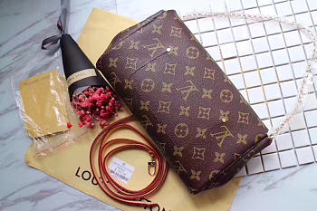 Louis Vuitton Favorite MM Monogram Handbag 40718