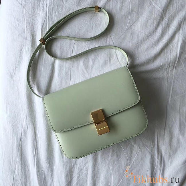 Celine Classic Light Green Bag in Box Calfskin Smooth Leather - 1