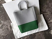 Celine Original Lambskin Leather Bucket Bag Gray and green - 3