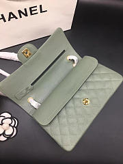 Chanel Flap Bag Caviar in Light Green 25cm with Gold Hardware - 3