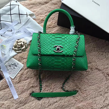 Chanel Snake skin Handle bag Green