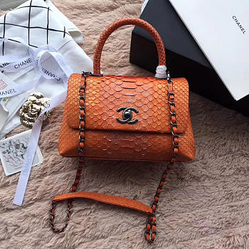 Chanel Snake skin Handle bag Orange