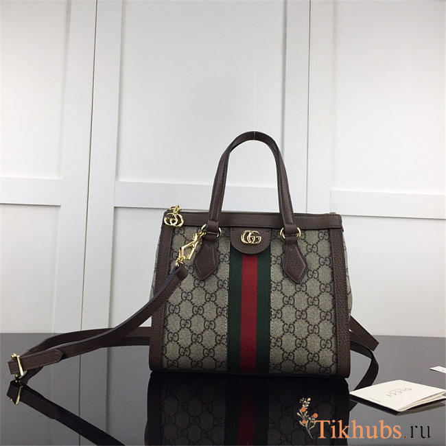 Gucci Ophidia small GG tote bag in Khaki 547551 - 1