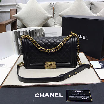 Chanel Leboy lambskin Bag in Black With Gold Hardware 67086