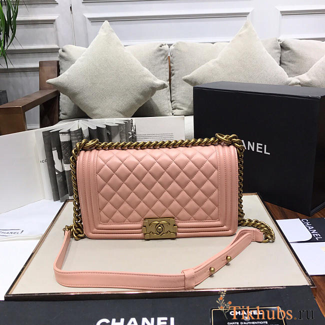 Chanel Leboy lambskin Bag in Pink 67086 - 1