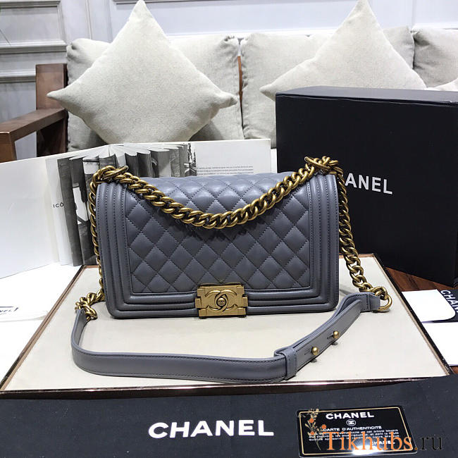 Chanel Leboy lambskin Bag in Gray 67086 - 1