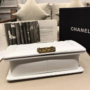 Chanel Leboy Lambskin Bag in White with Gold Hardware 67086 - 4