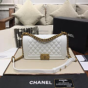 Chanel Leboy Lambskin Bag in White with Gold Hardware 67086 - 1