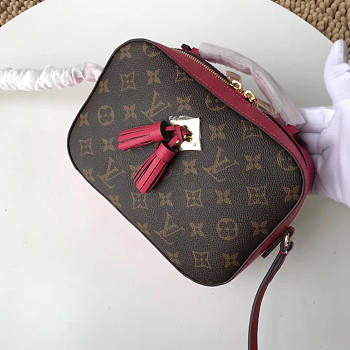 LV original camera bag M43559 rose red