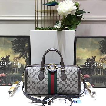 Gucci Ophidia handbag 521532