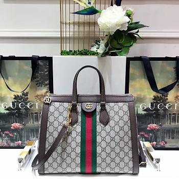 Gucci Ophidia handbag 524537
