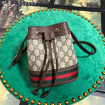 Gucci bucket bag 550620