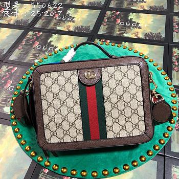 Gucci handbag 550622