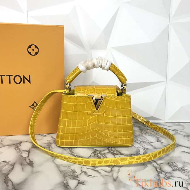 LV N94227 Capucines Mini handbag - 1