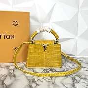 LV N94227 Capucines Mini handbag - 1