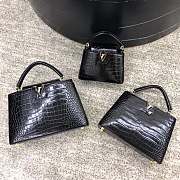 LV N94227 Capucines Mini handbag - 2