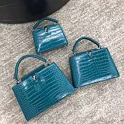 LV N94227 Capucines Mini handbag - 5