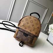 LV Monogram Canvas mini Backpack - 1