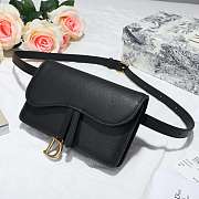 Dior Saddle Waistband Saddle bag - 2