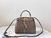 Fendi handbag Snakeskin - 1