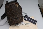 Louis Vuitton Palm Springs Mini Leather Backpack Classsic M41562 - 1