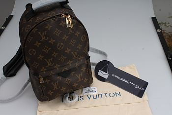 Louis Vuitton Palm Springs Mini Leather Backpack Classsic M41562