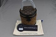 Louis Vuitton handbag monogram reverse Cannes M43986 vanity bag NS rank - 1