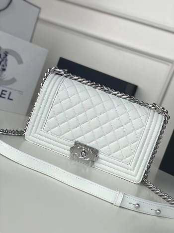 Chanel Leboy Lambskin Bag In White With Sliver Hardware Size 25 cm