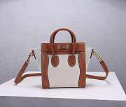 Celine Micro Luggage Calfskin Handbag white with brown - 5