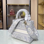 DIOR CD LADY 21 Tiger Embroidery 9027 Size 24×20×11cm - 5