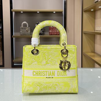 DIOR CD LADY 21 Fluorescent Color 9027 Size 24×20×11cm