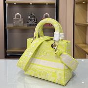 DIOR CD LADY 21 Fluorescent Color 9027 Size 24×20×11cm - 6