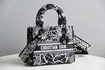 Dior Lady D-Lite Black 44532 Size 24x20x11 cm