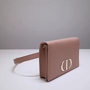 Dior Montaigne Waist Bag WOC 2-in-1 Pink 9909 Size 19x12.5x4 cm - 6