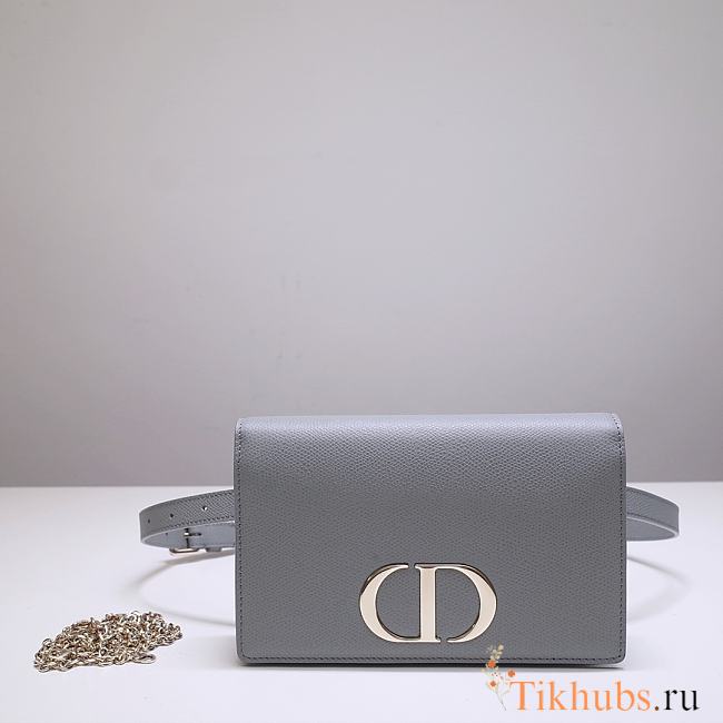 Dior Montaigne Waist Bag WOC 2-in-1 Gray 9909 Size 19x12.5x4 cm - 1