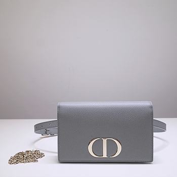 Dior Montaigne Waist Bag WOC 2-in-1 Gray 9909 Size 19x12.5x4 cm