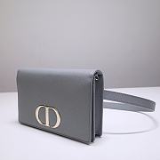 Dior Montaigne Waist Bag WOC 2-in-1 Gray 9909 Size 19x12.5x4 cm - 6