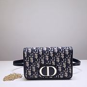 Dior Montaigne Waist Bag WOC 2-in-1 blue Dior Oblique 9909 Size 19x12.5x4 cm - 1