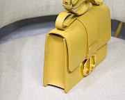 Dior 30 Montaigne Ginger M9030 Size 24x17x8cm - 3