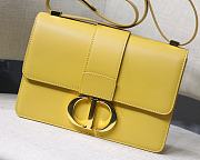 Dior 30 Montaigne Ginger M9030 Size 24x17x8cm - 5