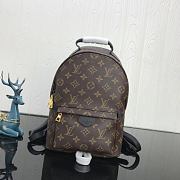 Louis Vuitton Palm Springs Backpack PM M41560 Size 20x31x10 cm - 1