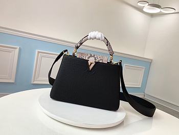 Louis Vuitton Capucines BB Bag Python Skin N95509 Size 27 x 18 x 9cm