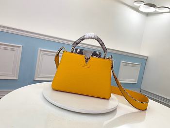 Louis Vuitton Capucines BB Bag Python Skin Yellow N95509 Size 27 x 18 x 9cm