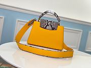 Louis Vuitton Capucines BB Bag Python Skin Yellow N95509 Size 27 x 18 x 9cm - 5